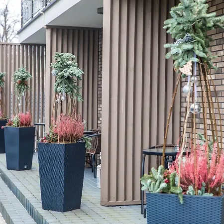 Amber Drop * Palanga