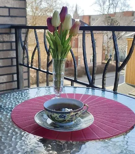 Amber Drop Apartmán Palanga