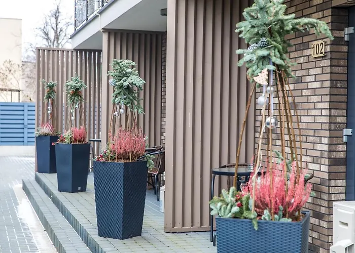 Amber Drop * Palanga